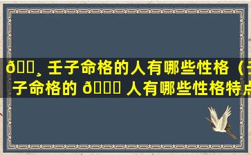 🕸 壬子命格的人有哪些性格（壬子命格的 🐝 人有哪些性格特点）